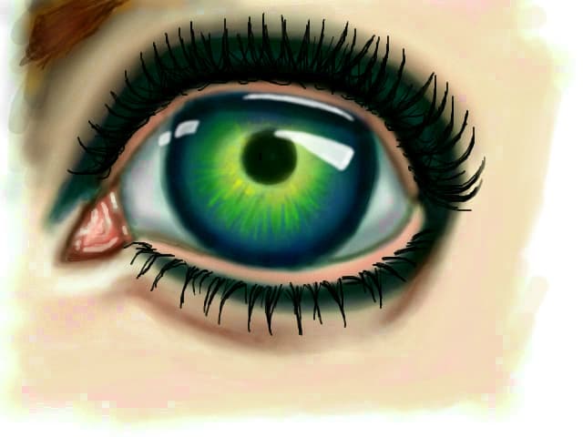 Eye