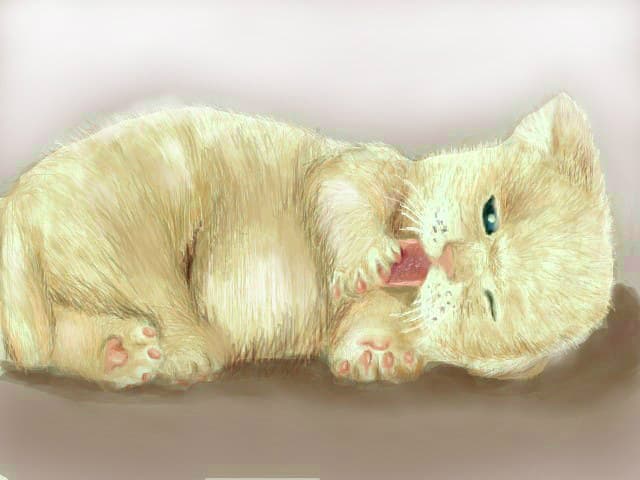 Soft kitty ,warm kitty, little ball of fur,,,,