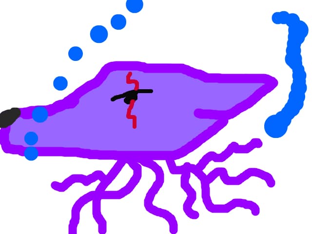 MeduzoLup