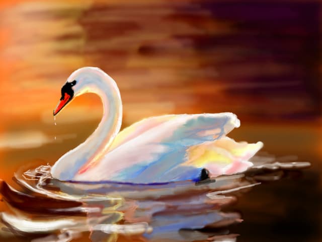 Sunset with a swan