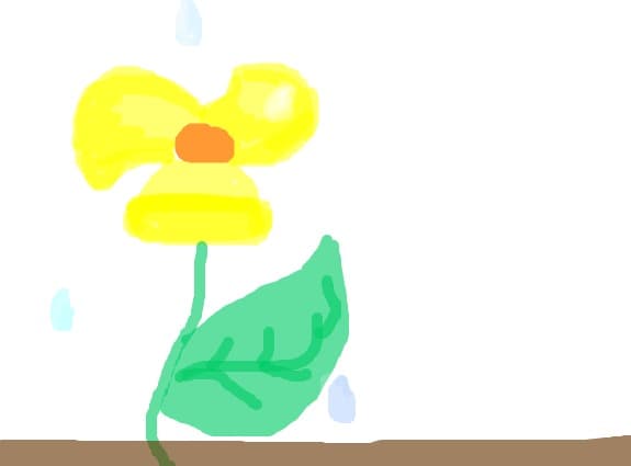 Floare