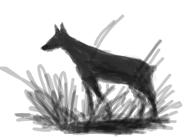 hunt