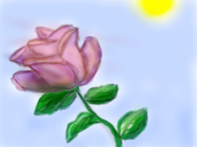 rose