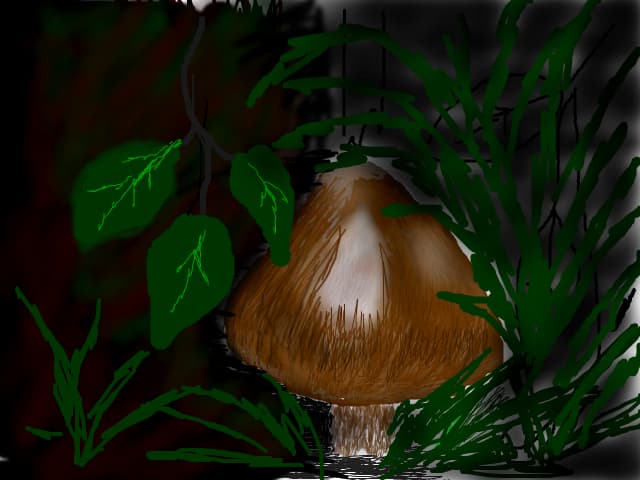 natura