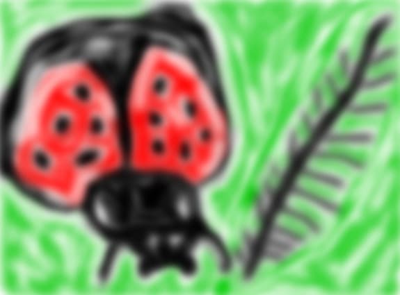 Buburuza