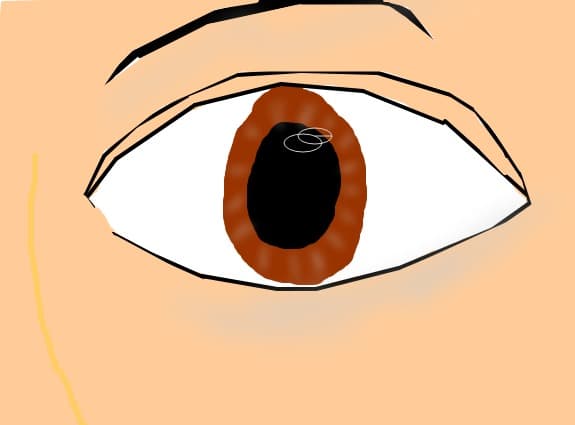 necunoscut/necunoscuta