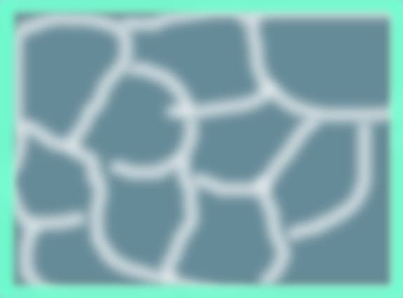 Floricele In Rama