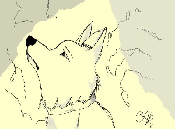Withe Fang