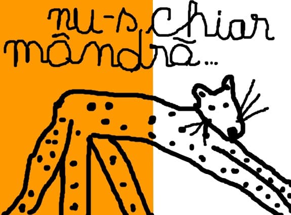 frumusica25