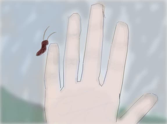 Litlle bugs