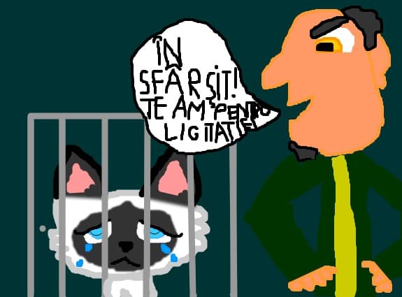 Catelu din Pocketville si aparitia curcubeului prieteniei 1