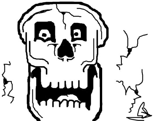 Skull