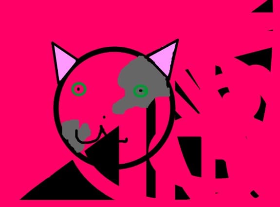 My cat