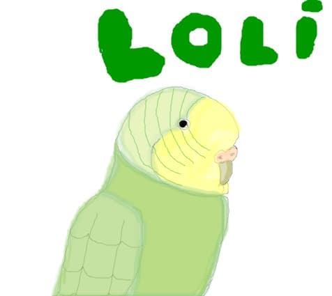 Loli,perusica mea :)