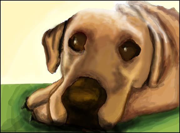 Daisy