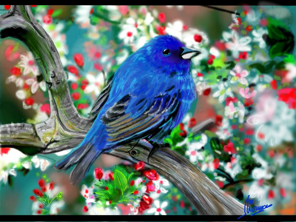 Birdie