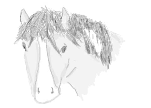 Un pony