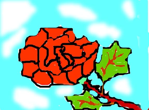 trandafir