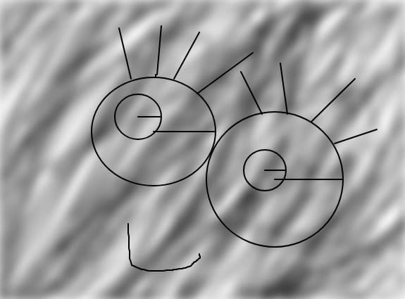 Face
