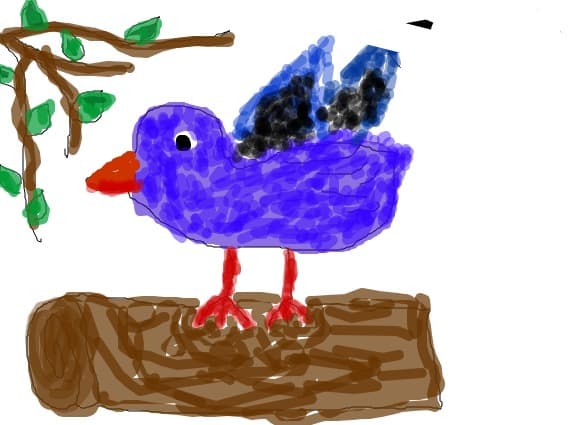 blue bird