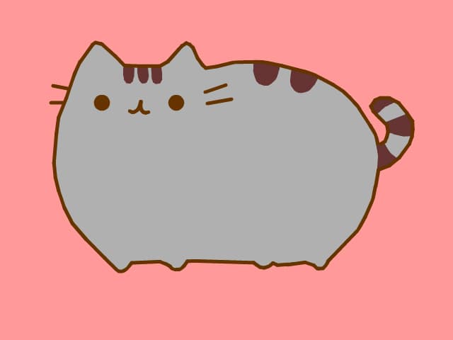 Pusheen cat