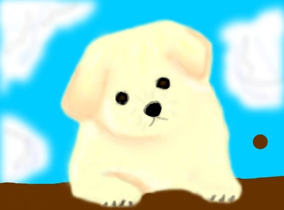 Puppy :)