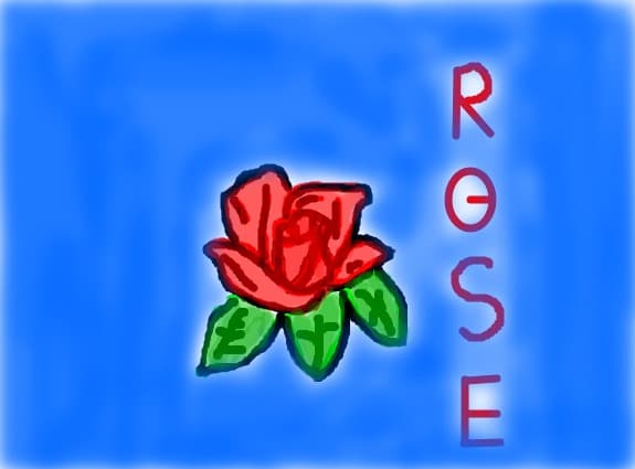 the rose