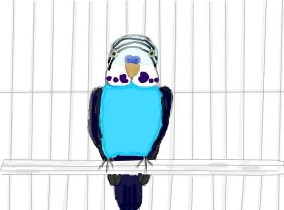 Flafy,perusul meu care s-a stins pe data de 10.10.2012 :(
