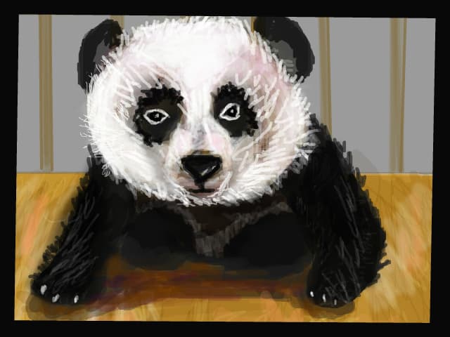 pui panda
