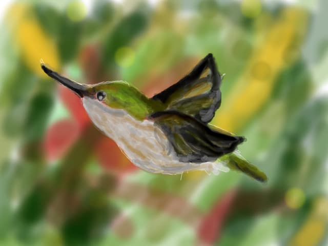 colibri
