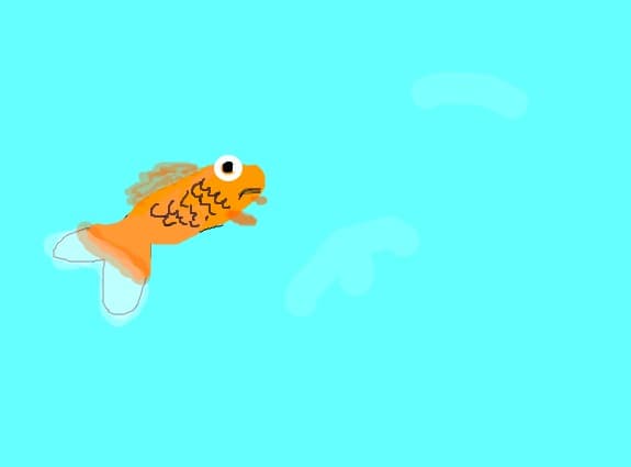 fish