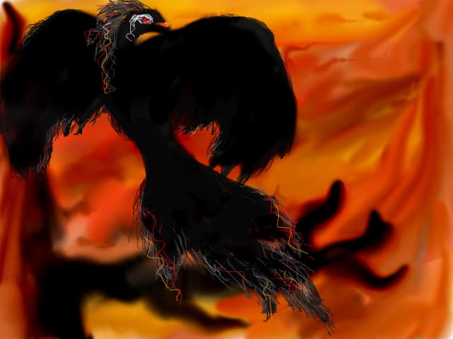 bird