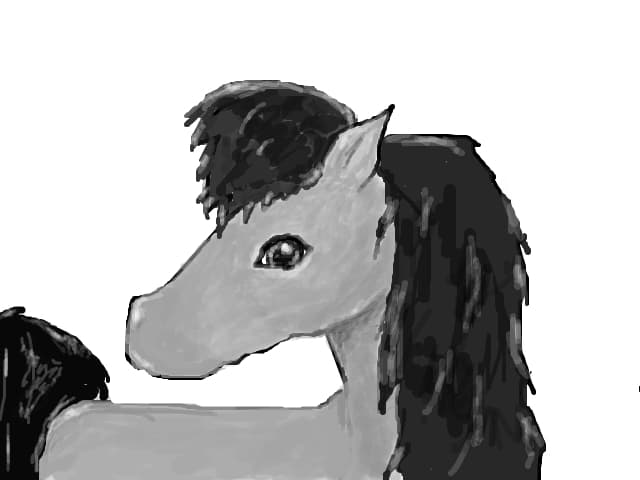 Horse