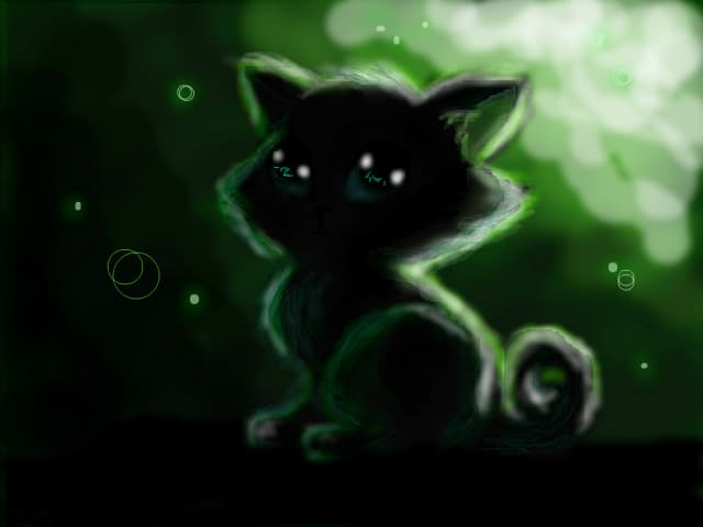 kitten