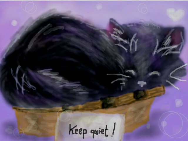 kitten