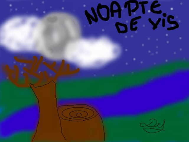 NOAPTE  DE VIS