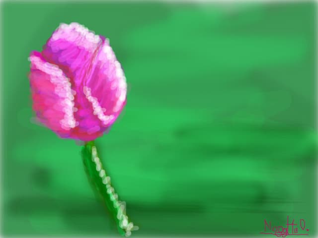 lalea *(2).