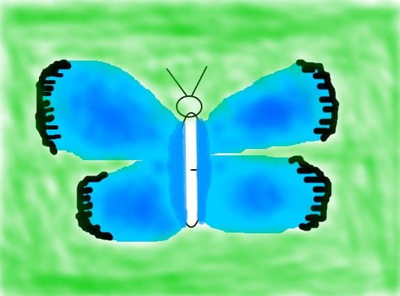 fluture