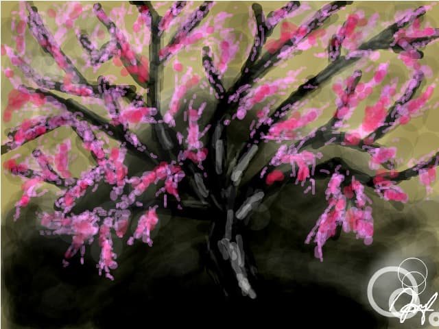 cherry blossom