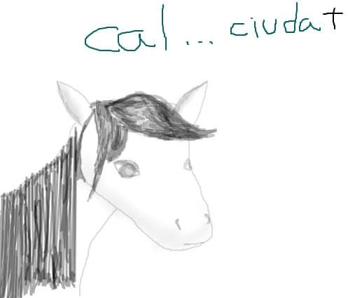 Cal...