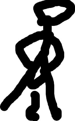 penis