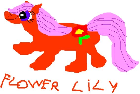 Flower Lily
