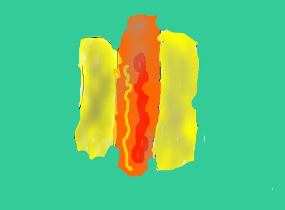 hot dog