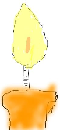 inima