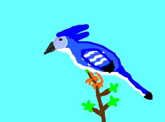 Gaita terminat