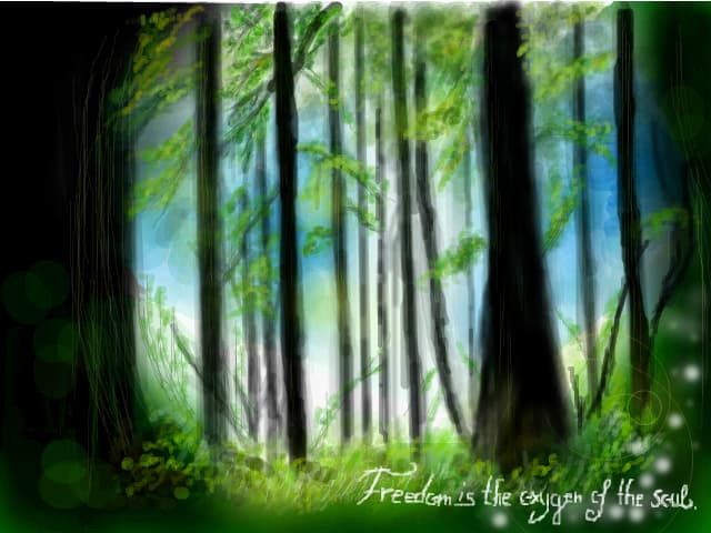 spring in forest