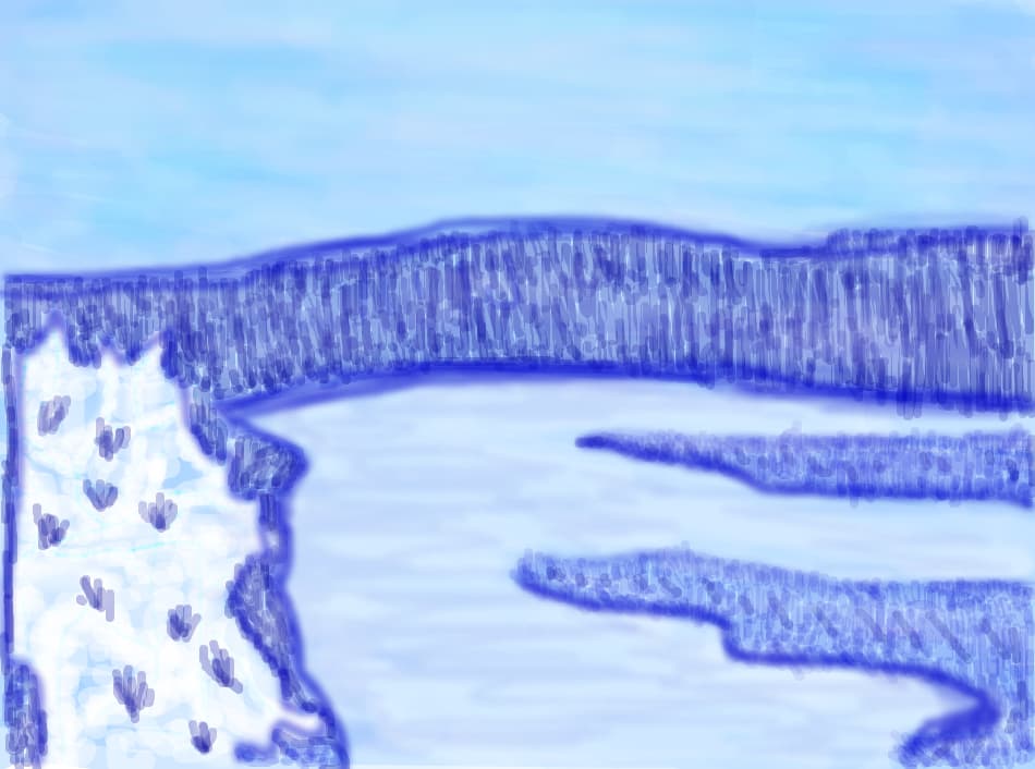 peisaj de iarna