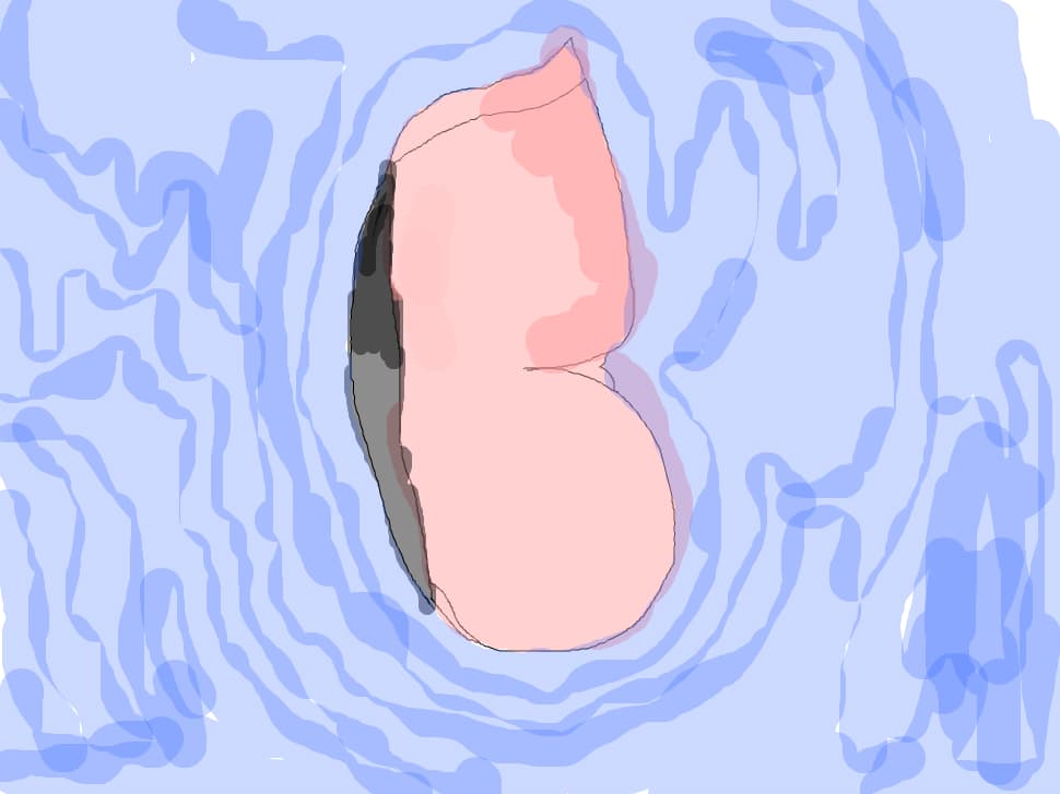 un fluture incepator
