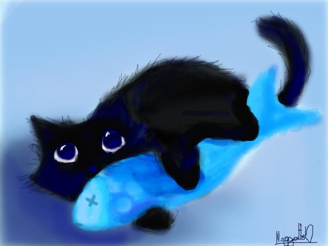 black cat