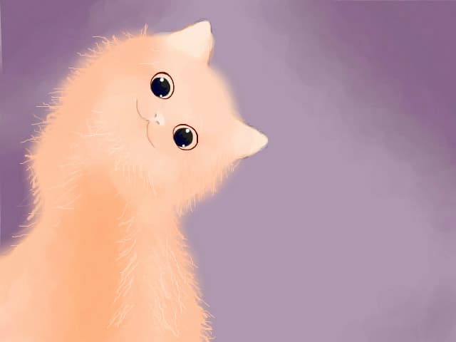 Y r u lookin at meh? :[